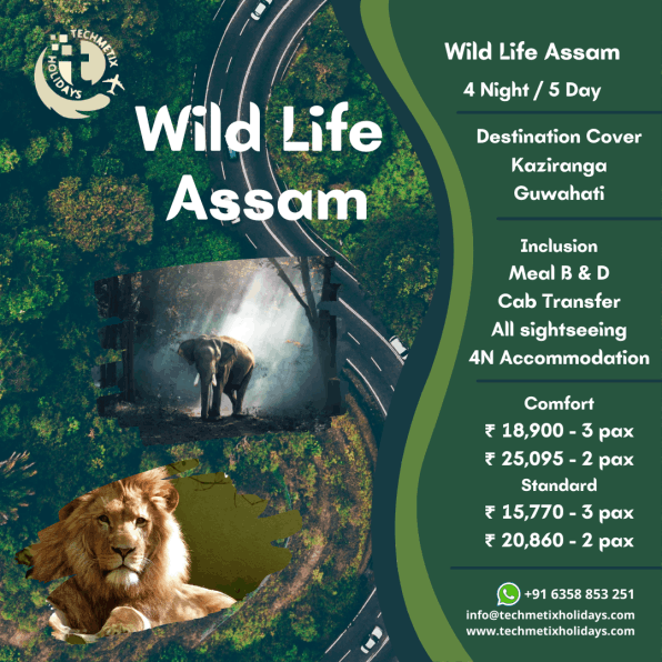 wildlife assam